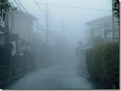 fog2_11_3