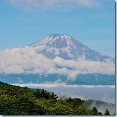 lu1677684d0yo_tmp_37ba01ea