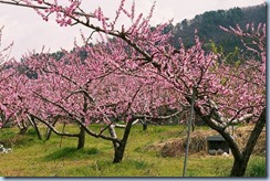 lu8672bs1r5r_tmp_9d5dd48c