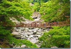 lu2282493jf6s_tmp_367f4d1c