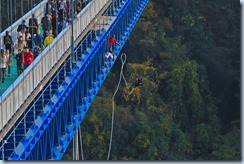 lu2282493jf75_tmp_8a773314